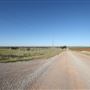 Taylor Ranch