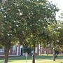 Southeastern Oklahoma State University