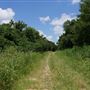 Stinchcomb Wildlife Refuge
