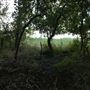 Stinchcomb Wildlife Refuge