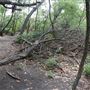 Stinchcomb Wildlife Refuge