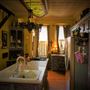 Mesta Park Historical Home