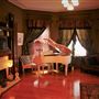 Mesta Park Historical Home
