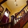 Mesta Park Historical Home