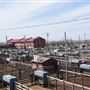 Oklahoma National Stockyard Exchange