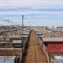 Oklahoma National Stockyard Exchange