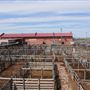Oklahoma National Stockyard Exchange