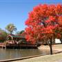 E.C. Hafer Park