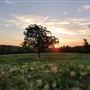 Hunt Mill Hollow Ranch