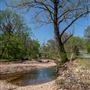 Black Fox Hollow