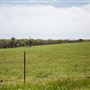 E 770 Rd Landscape 2
