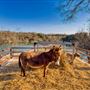 Meadow Lake Ranch