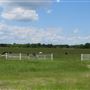 3 Bell Ranch