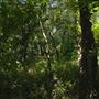 Rydell Ranch