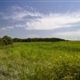 Rydell Ranch