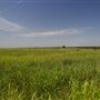Rydell Ranch