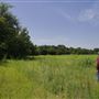 Rydell Ranch