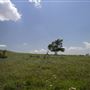 Rydell Ranch