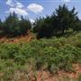 Rydell Ranch