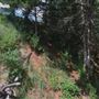 Rydell Ranch