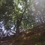 Rydell Ranch