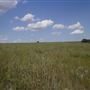 Rydell Ranch