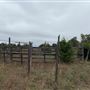 Ward Ranch