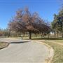 Eldon Lyon Park