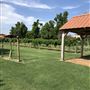 Nellis Vineyards