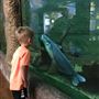 Jasmine Moran Children's Museum