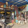 Where The Buffalo Roam Boutique