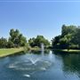 Nellis Vineyards