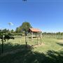 Nellis Vineyards