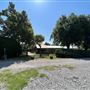 Nellis Vineyards
