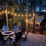 Majestic Pines Cabin