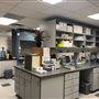 Hough Ear Institute