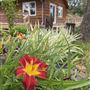 Oak Spring Retreat