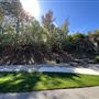 Chandler Park
