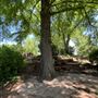 Will Rogers Gardens