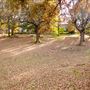 Dewberry Park