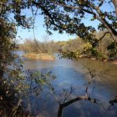Martin Nature Park