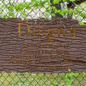 Diligwa