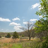 Savannah Trail - JT Nickel Nature and Wildlife Preserve