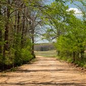 N Pumpkin Hollow Road