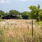 N 4690 Rd Field