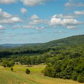 HWY 100 Scenic View