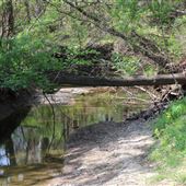 Aspen Creek Park