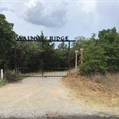 Walnut Ridge