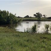 KD Ranch
