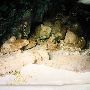 Alabaster Caverns State Park